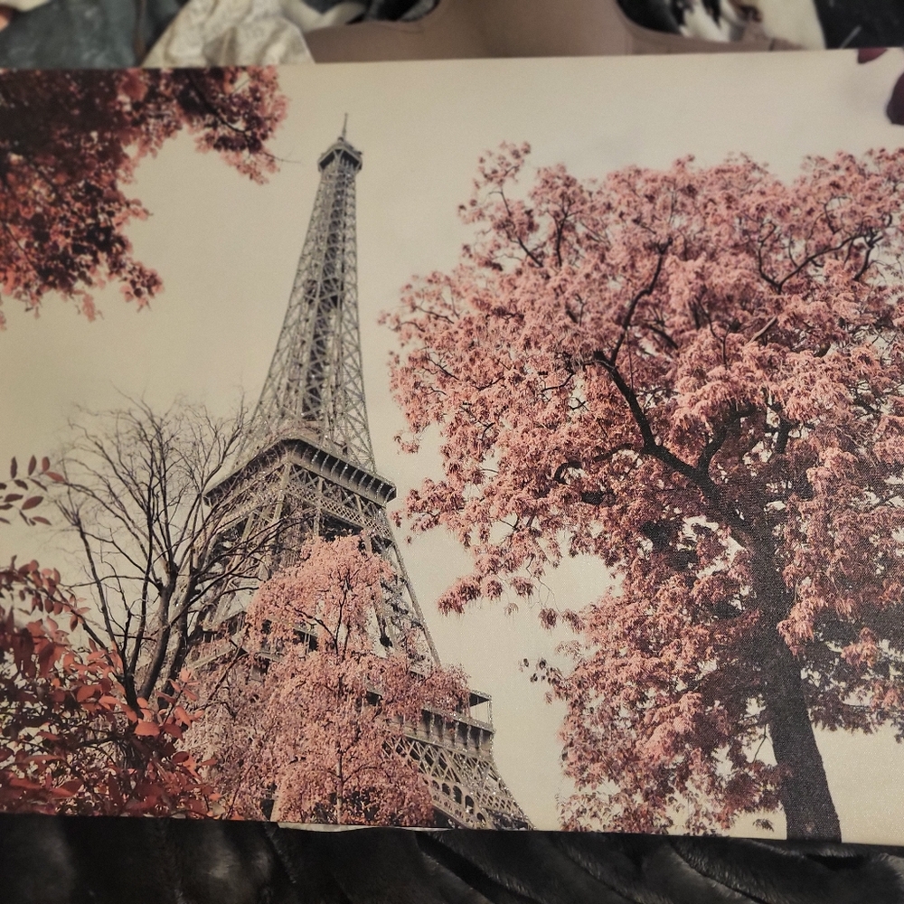 Paris painting